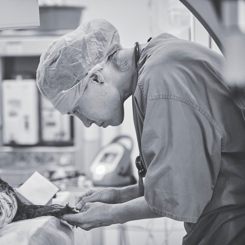 Moshulu%20Studio0277