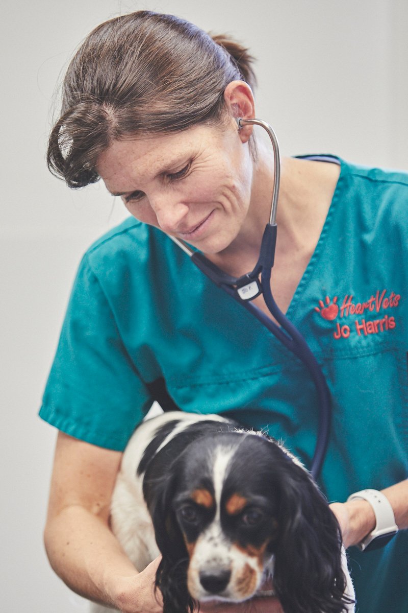 Moshulu%20Studio1643 ST